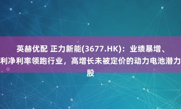 英赫优配 正力新能(3677.HK)：业绩暴增、毛利净利率领跑行业，高增长未被定价的动力电池潜力股