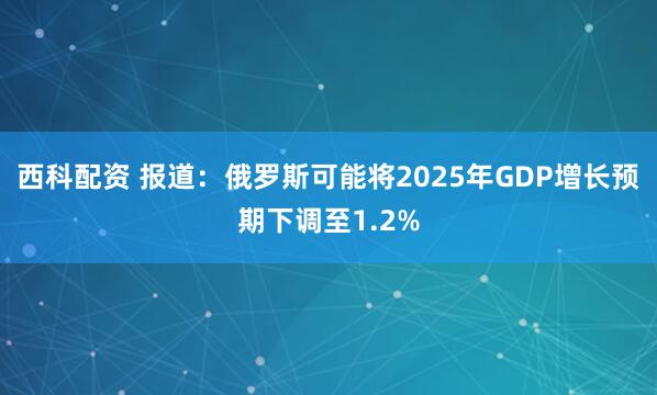西科配资 报道：俄罗斯可能将2025年GDP增长预期下调至1.2%