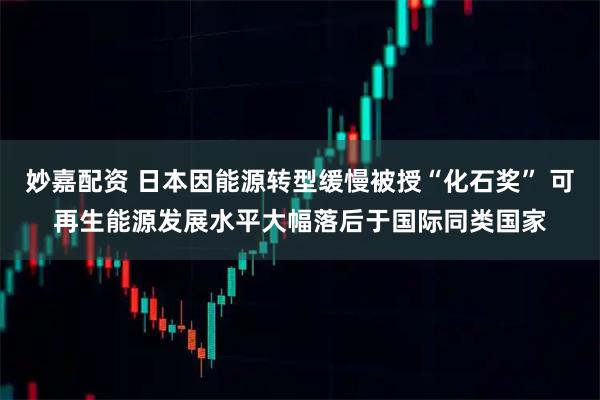 妙嘉配资 日本因能源转型缓慢被授“化石奖” 可再生能源发展水平大幅落后于国际同类国家